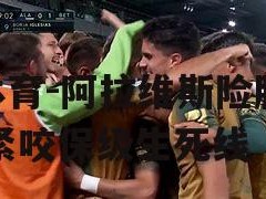B体育-阿拉维斯险胜，紧咬保级生死线