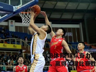 B体育-球队奋力拼搏，赢得关键比赛胜利