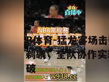 B体育-猛龙客场击败鹈鹕，全队协作实现突破