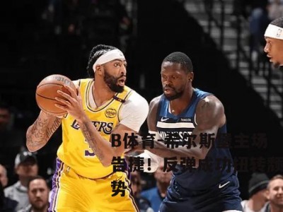B体育-希尔斯堡主场告捷！反弹成功扭转颓势